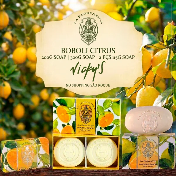 Criação de Mídias Sociais para Varejo: Post Linha Banho Vicky's