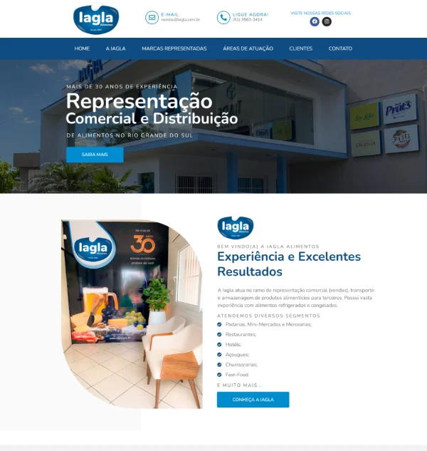 Criação de Site para Representação Alimentícia: Credibilidade e Alcance